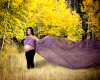 field and fabric2