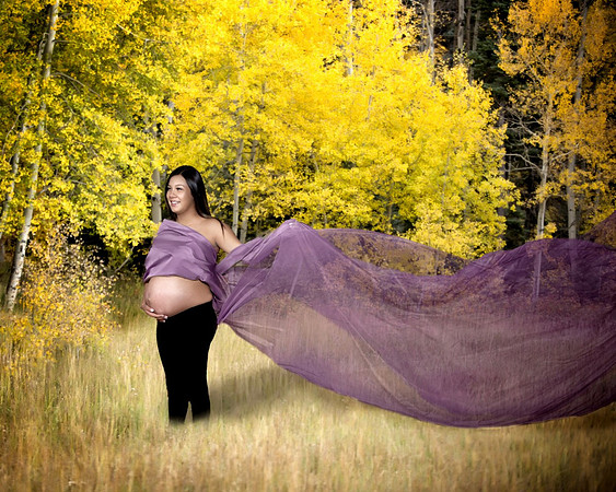 field and fabric2