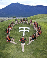 THS Tiger Classics