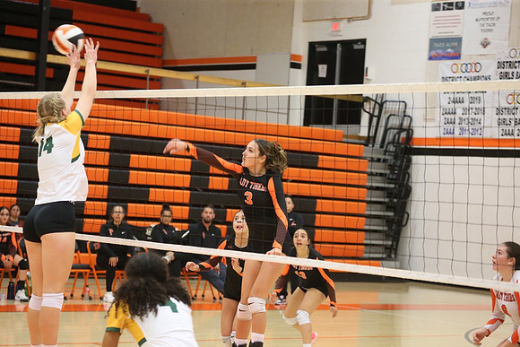 DN4R8519