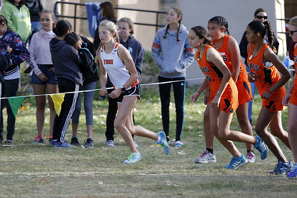 _DX_7963